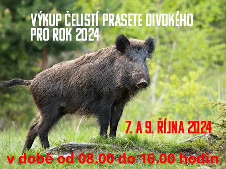 Výkup čelistí prasete divokého 2024