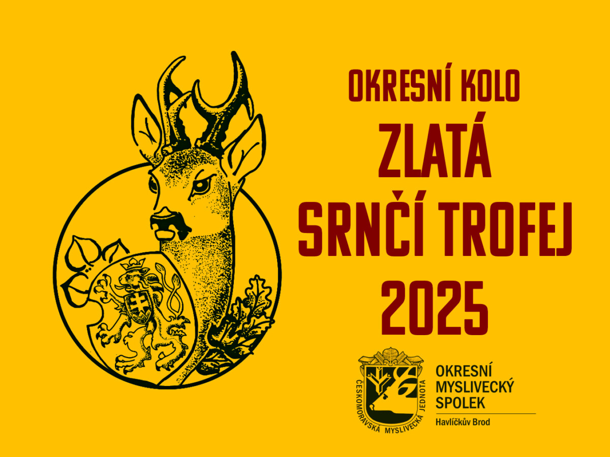 Pozvánka na okresní kolo ZST 2025